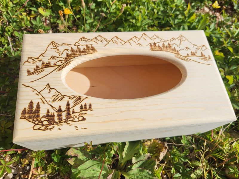 Boite &agrave; mouchoirs