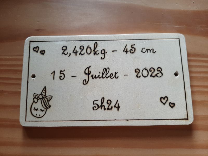 Plaque immatriculation 